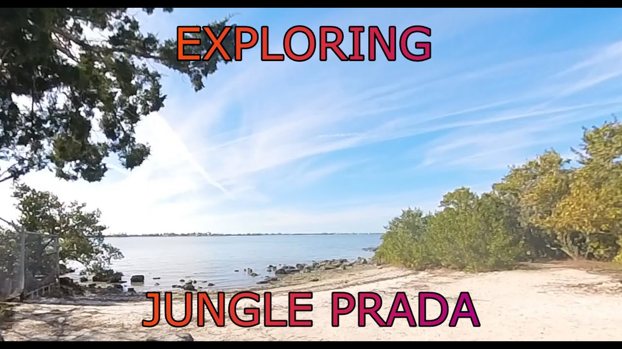 Exploring Jungle Prada