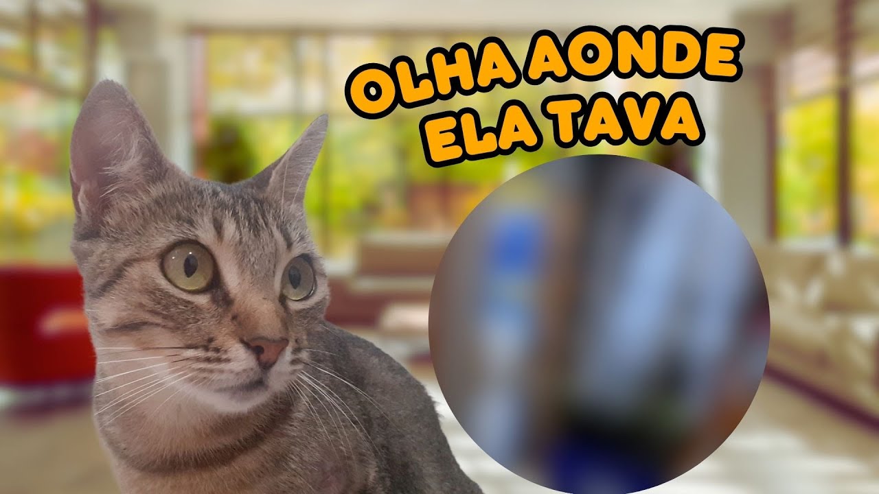 ela sumiu