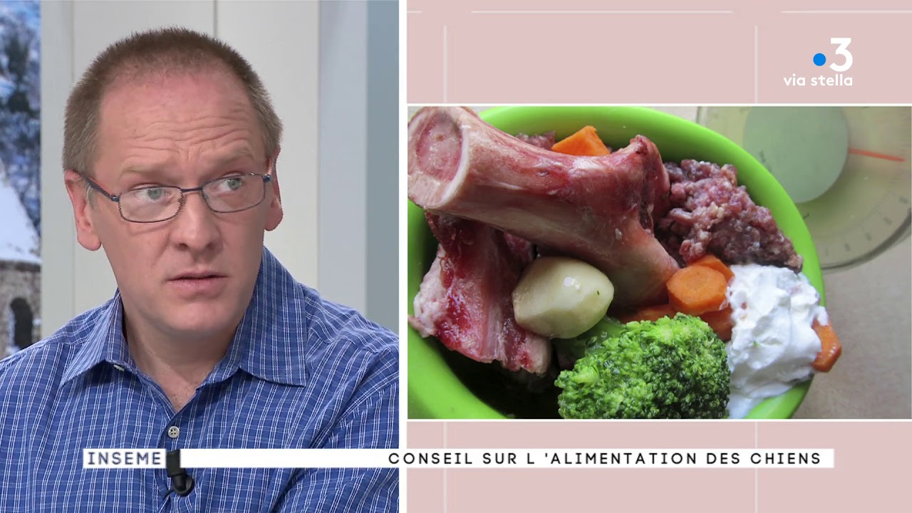 Inseme 2 du 22/02/2018 : Conseils pratiques pour l’alimentation des chiens