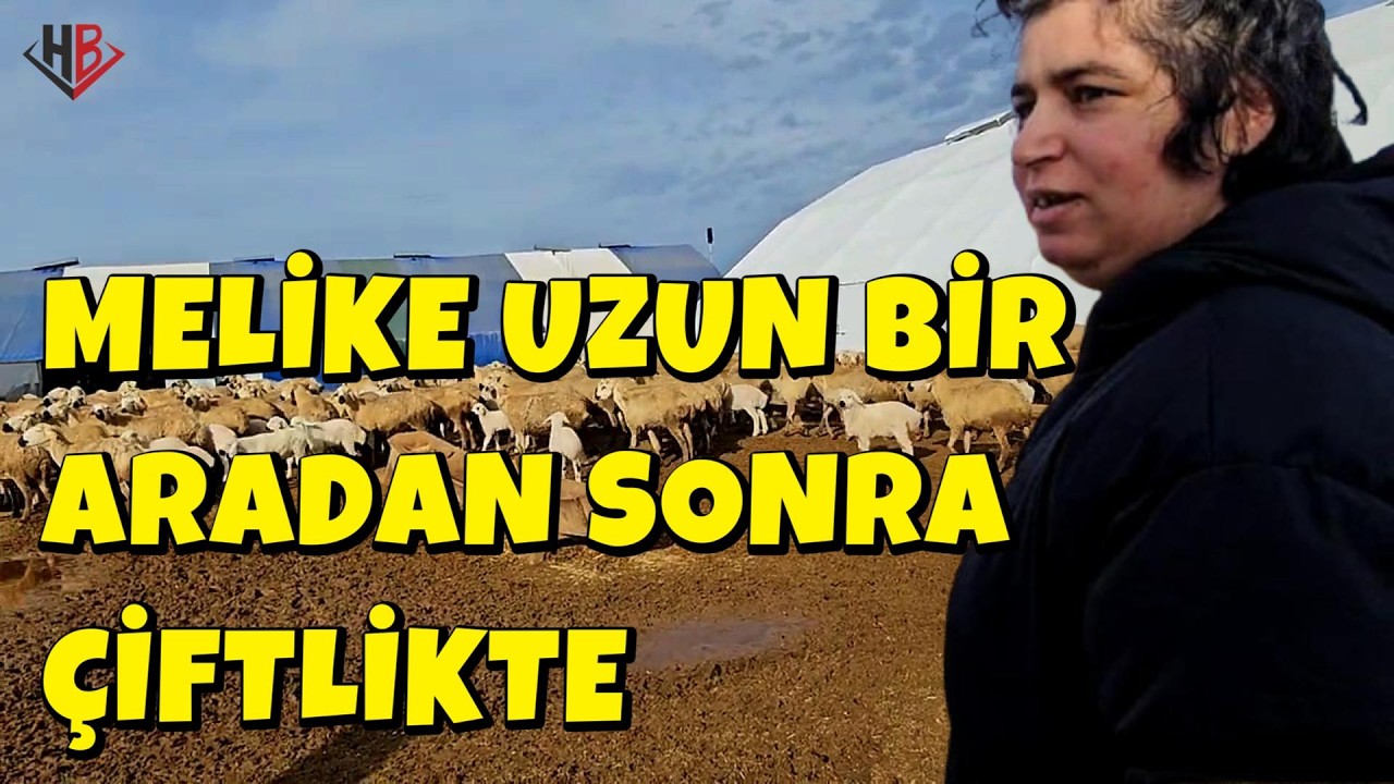 MELİKE UZUN BİR ARADAN SONRA ÇİFTLİKTE