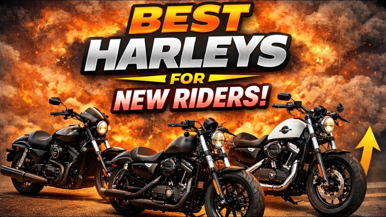 Top Harley-Davidson Motorcycles Perfect for New Riders