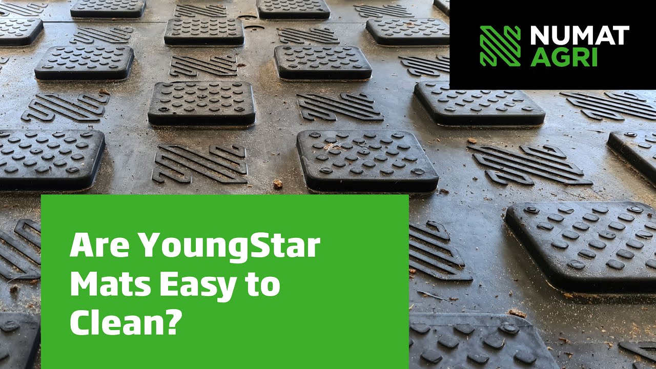 Is YoungStar easy to clean?