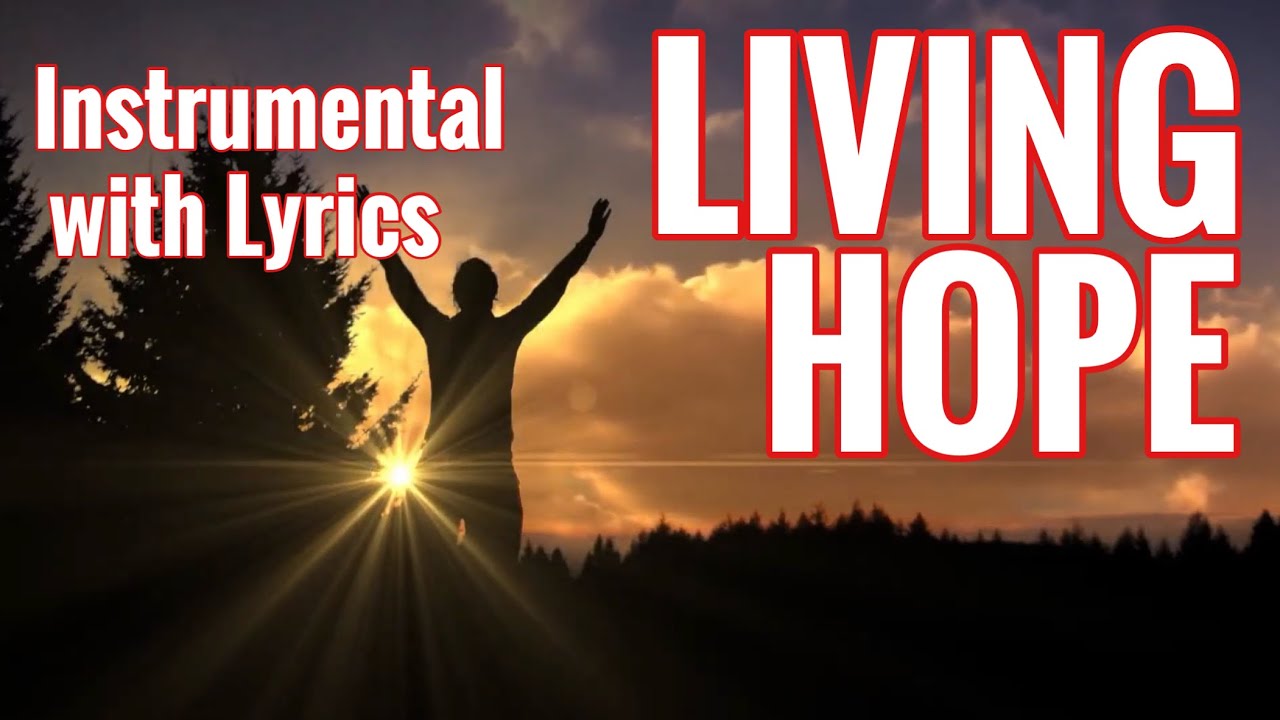 LIVING HOPE | Phil Wickham | Instrumental Cover 🎹 |  LYRIC VIDEO | Don Salmon Music