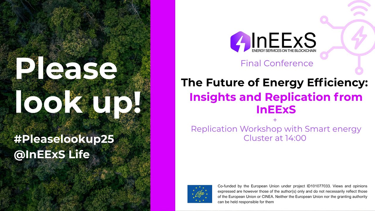 The Future of Energy Efficiency Insights and Replication from InEExS