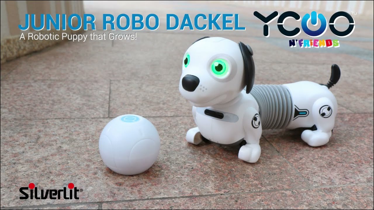 S&aring; h&auml;r leker du med Silverlit Robo Dackel JR - interaktiv robothund f&ouml;r barn