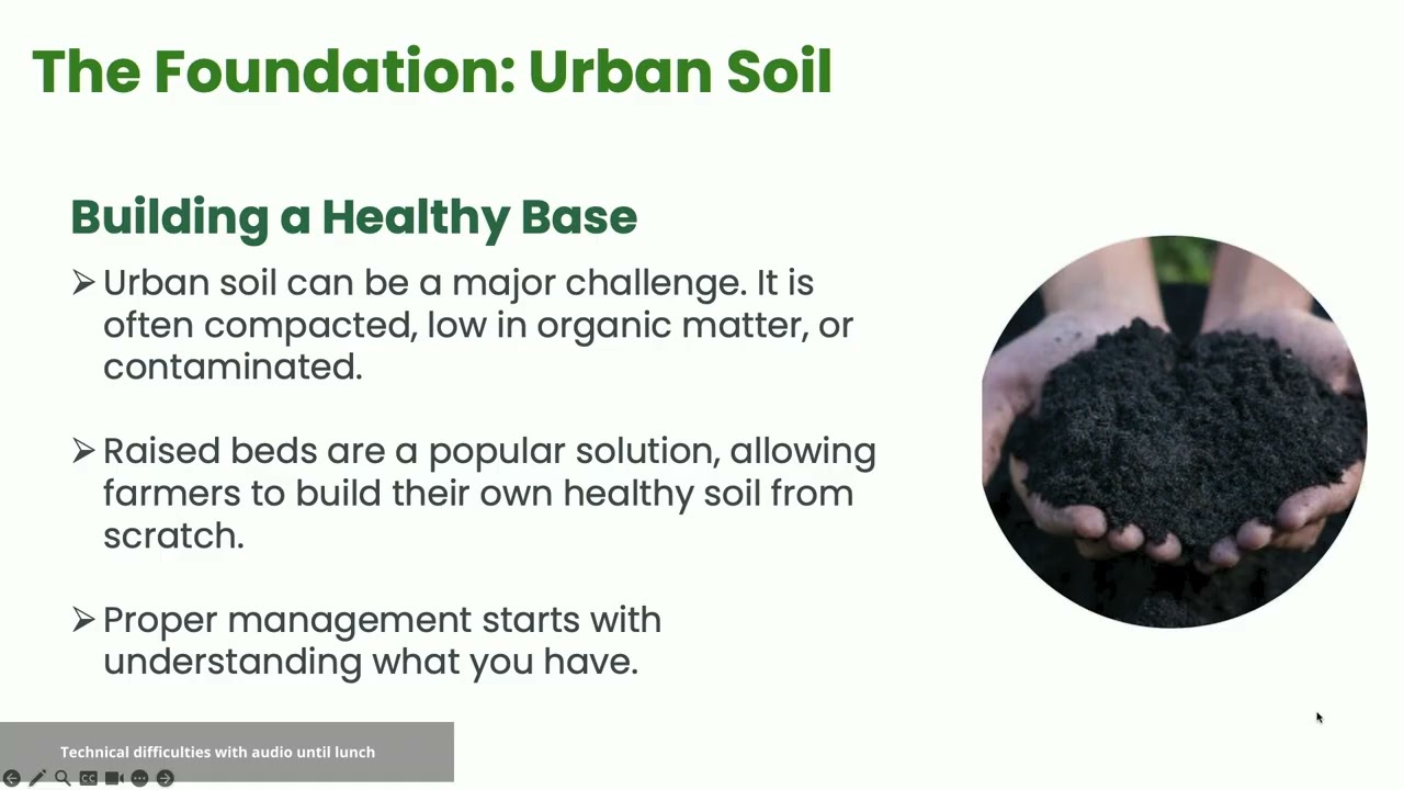 Urban Farming and its Challenges