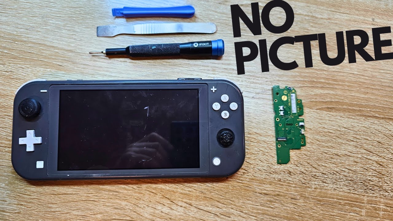 Nintendo Switch Lite: Hear it But No Picture!