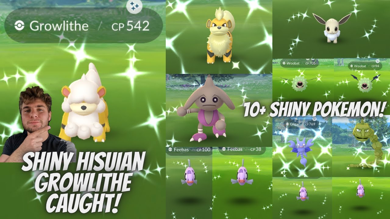 ✨Shiny Hisuian Growlithe CAUGHT! Shiny Eevee and 10+ Shiny Pokemon Caught!✨