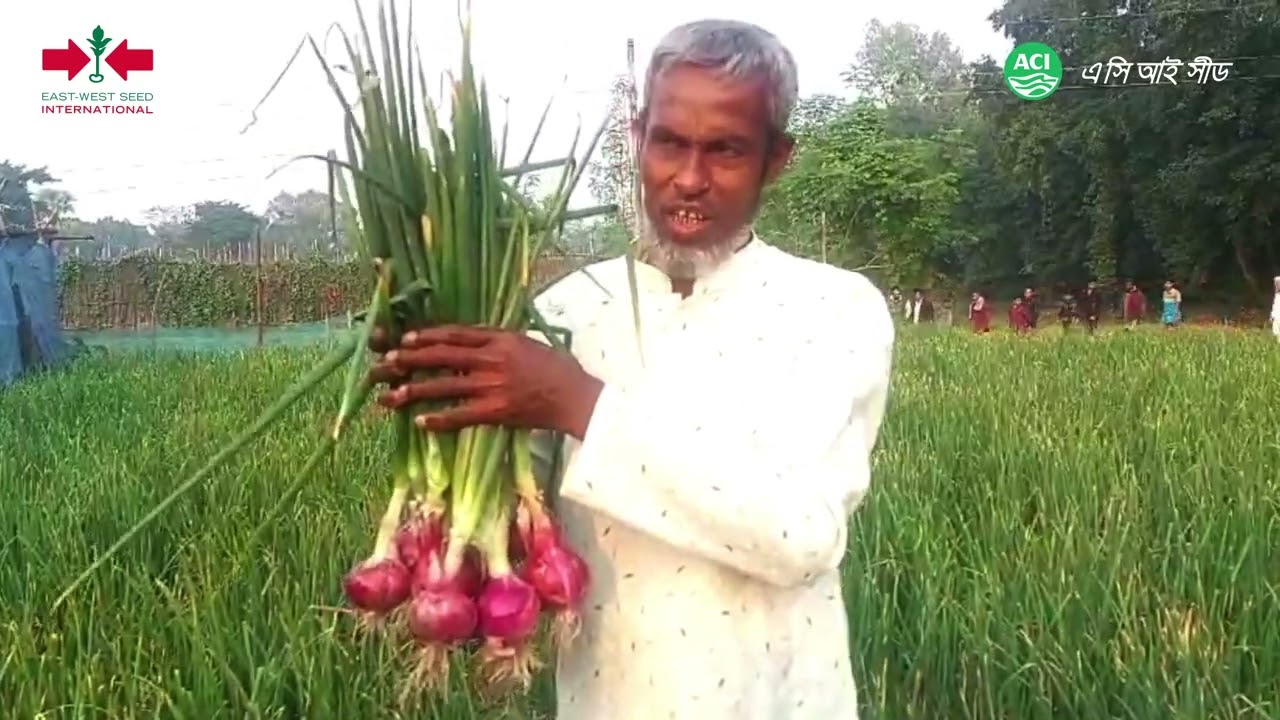 গ্রীষ্মকালীন পেঁয়াজ 