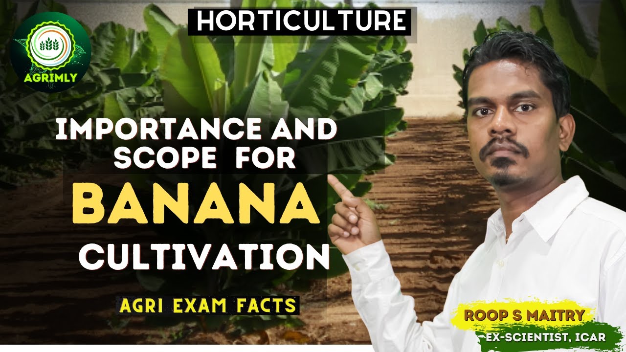 Importance and Scope for Banana Cultivation & its National Importance ll All Agri Exam by Maitry Sir