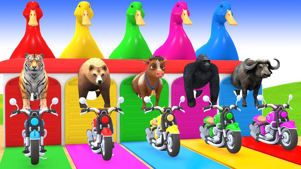 Long Slide Game With Cow Elephant Gorilla Hippopotamus Tiger 3d Animal Game Funny 3d Animals