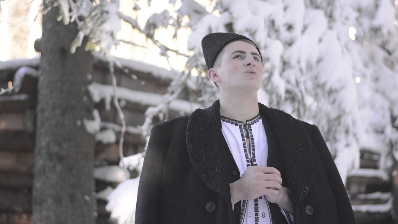 Bogdan Cioranu - In orasul Viflaim