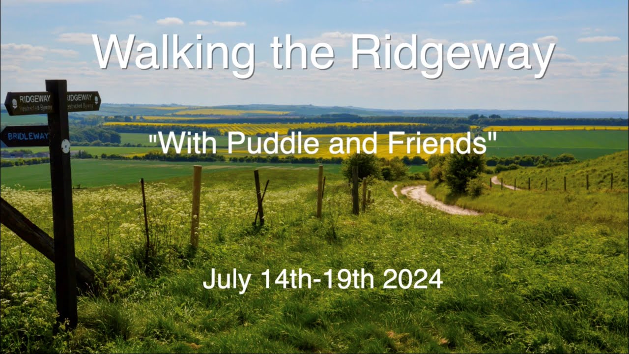 Walking the Ridgeway - With Puddle and friends - July 2024