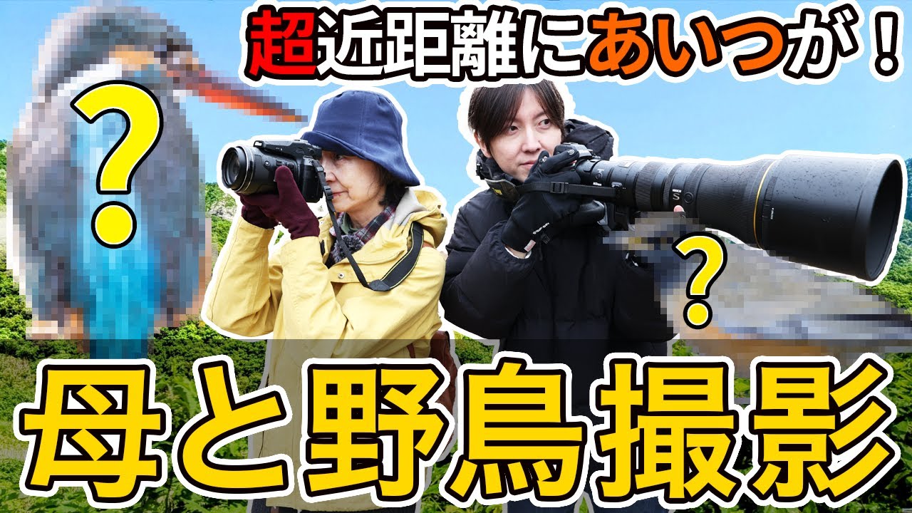 2025新春 母と野鳥撮影 舞岡公園 横浜市戸塚区