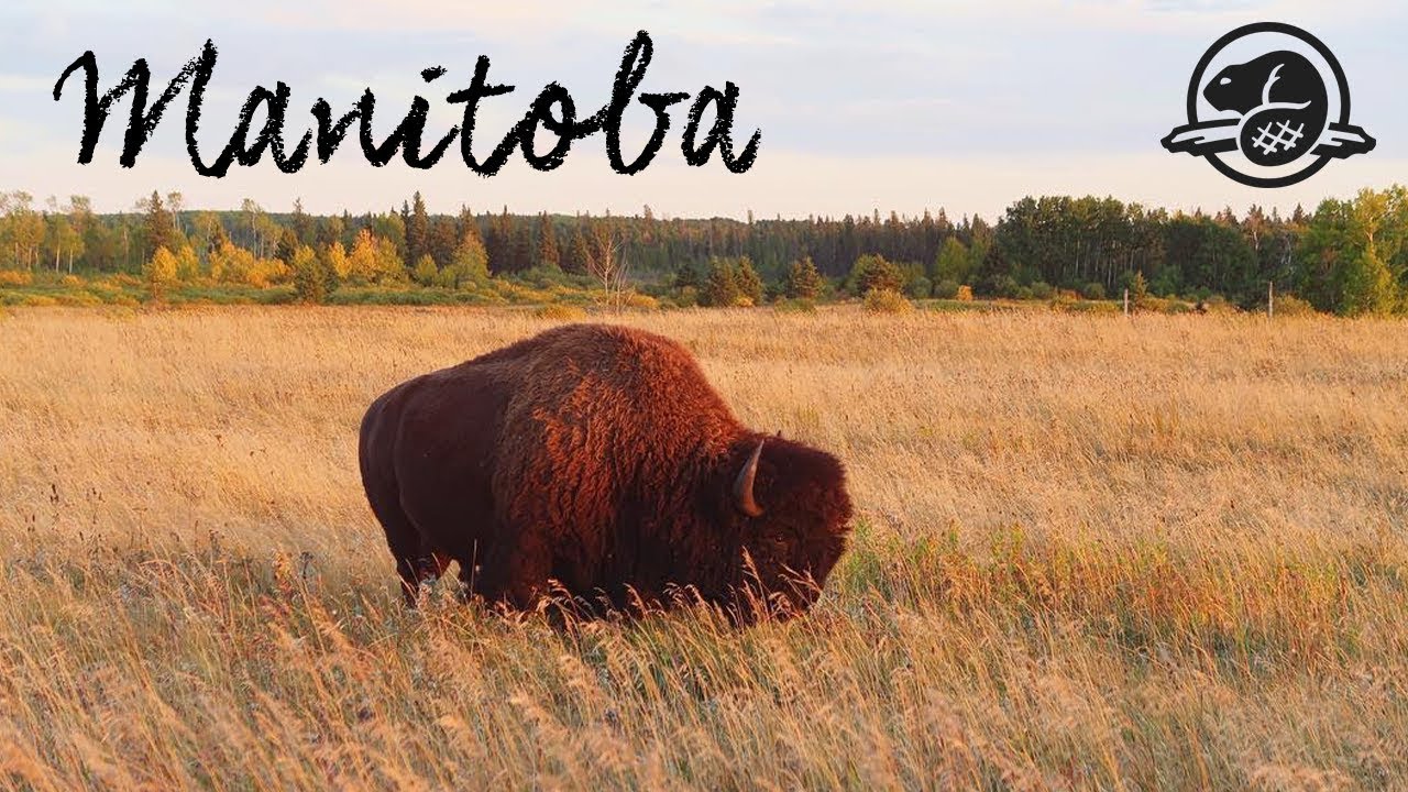 Riding Mountain National Park, Manitoba