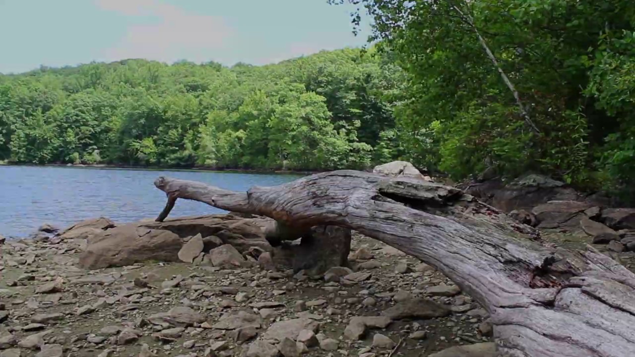 Bass Fishing the Wiccoppee Reservoir in New York!