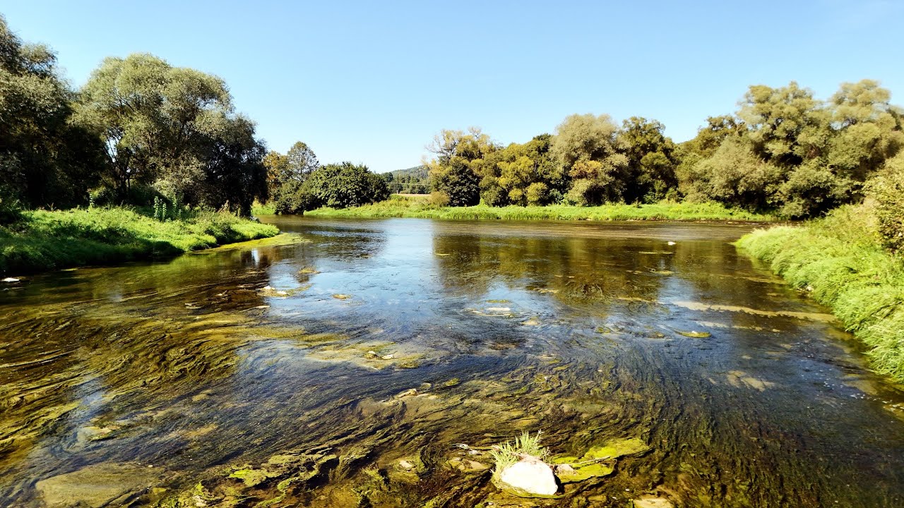 Rzeka Osława / Osława River