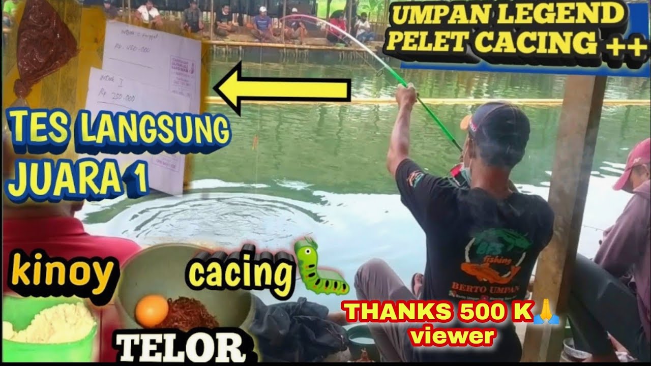 TUTORIAL CARA MEMBUAT PELET CACING ➕➕TEST LANGSUNG JUARA 1 || BIKIN TETANGGA EMOSI || NGEPUR 1 JAM