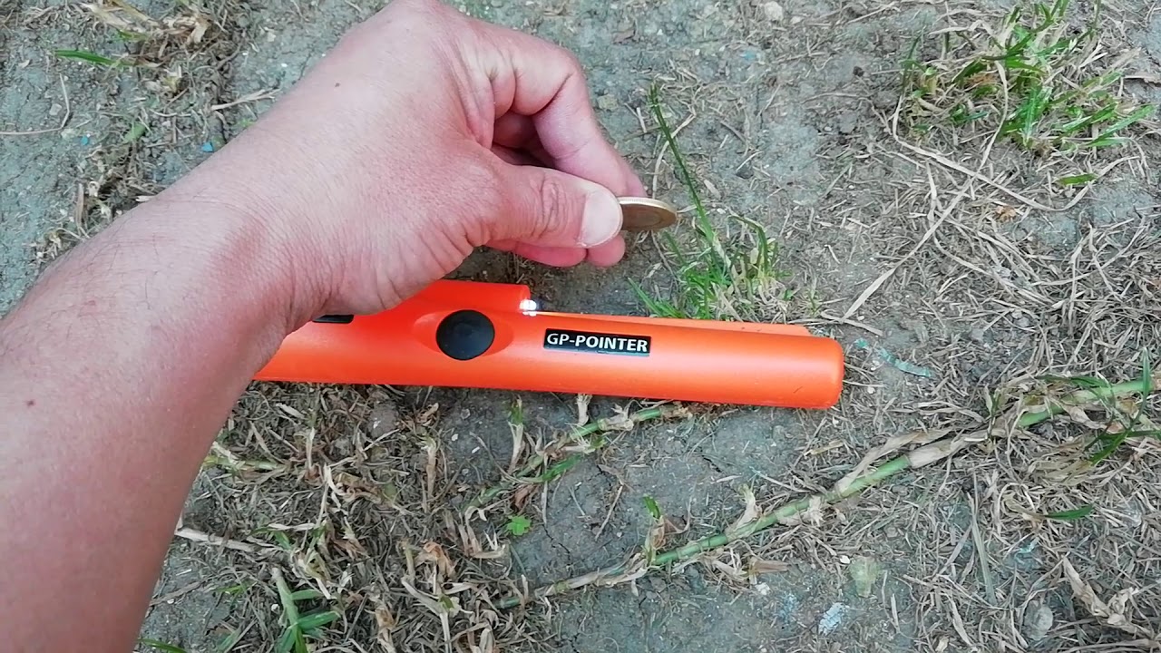 GP POINTER 1 full test