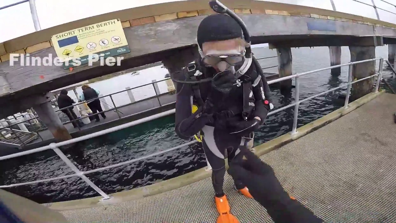 Flinders Pier Great Victorian Fish Count dive 2016