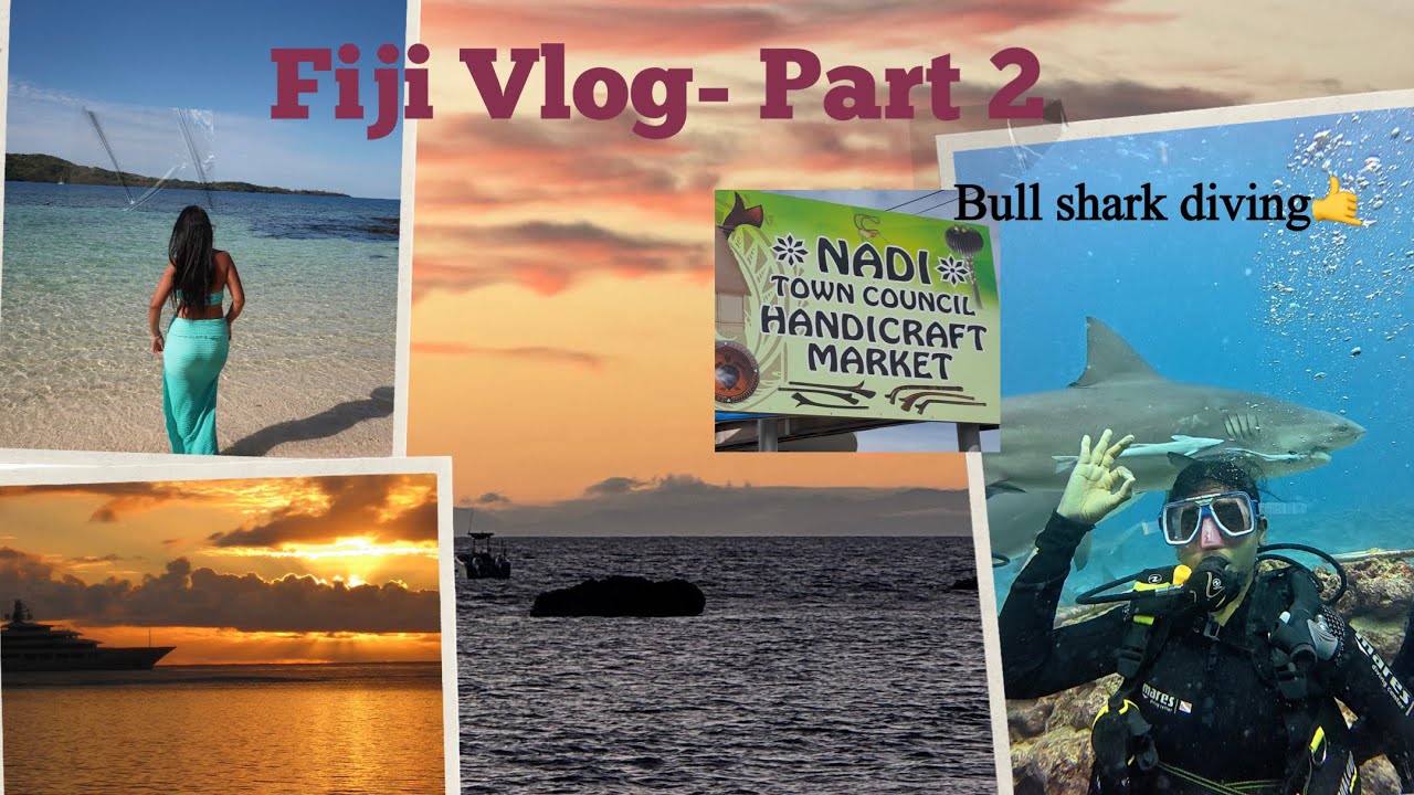 Ticked off another bucket list✅Bull shark dive in 🇫🇯.#solotravel #travel #fiji #shark #bula #ocean 
