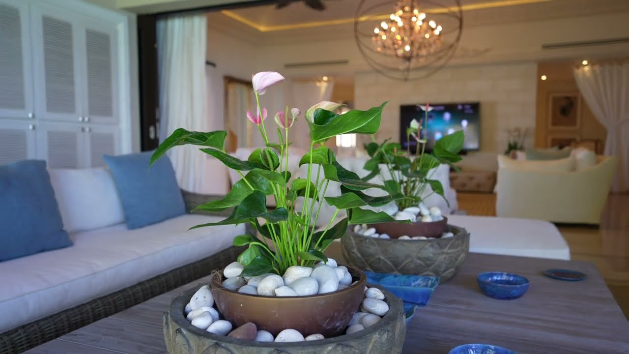 Sandy Cove Penthouse 501