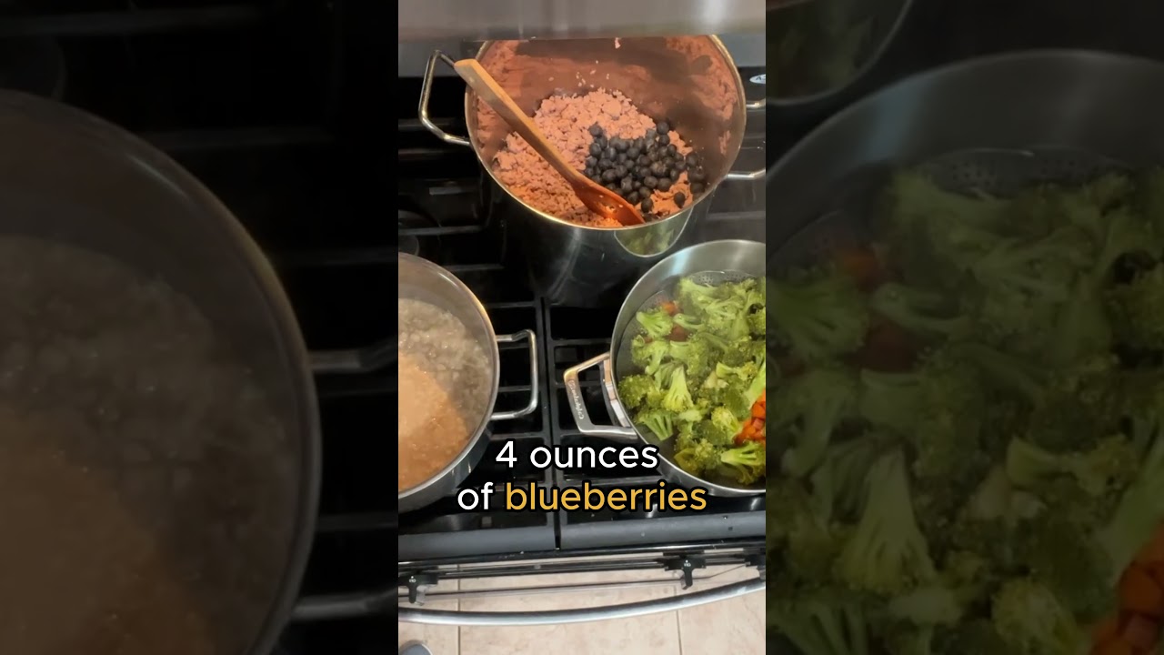 Try this vet-approved homemade dog food recipe with oats that can benefit your dog's overall health!