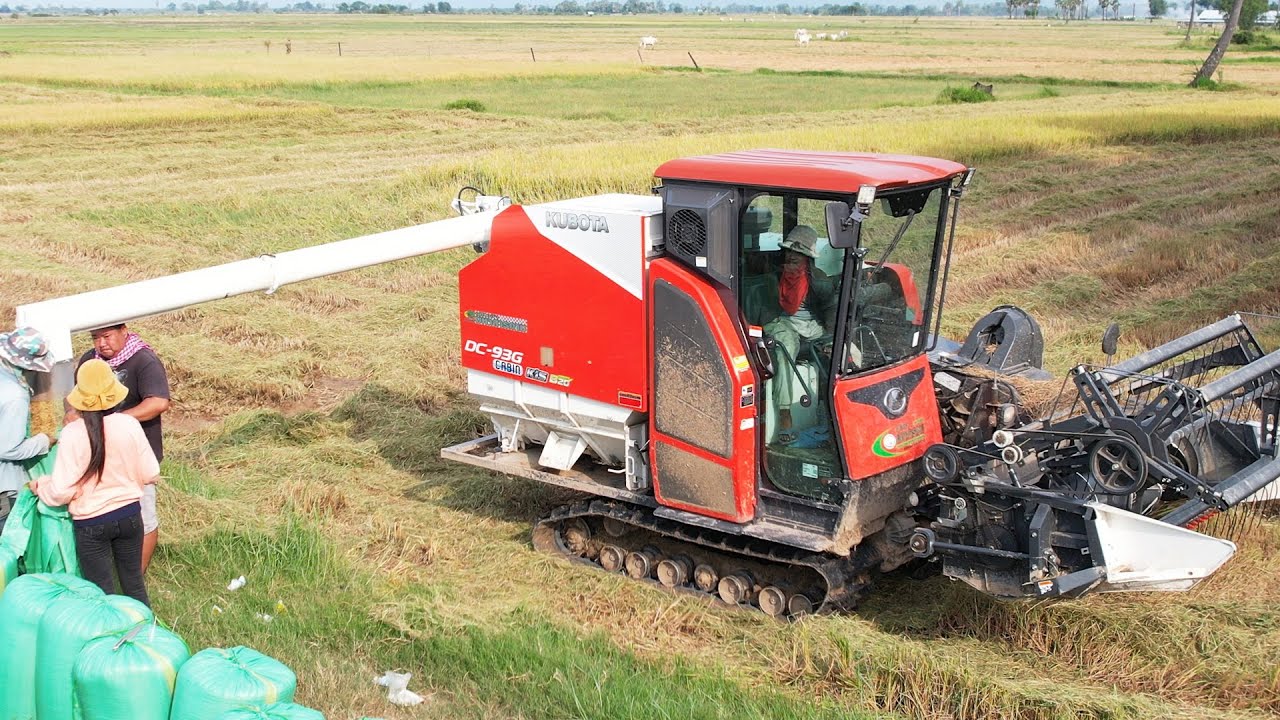 Kubota DC 93g Cabin Rice Harvester Machine | Combine Rice Harvesting Machine | Cabin Harvest Machine