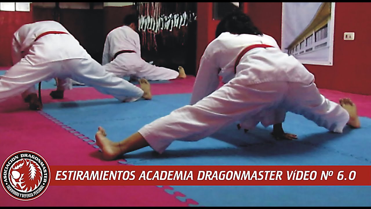 ESTIRAMIENTOS ACADEMIA DRAGONMASTER PARTE 6.0