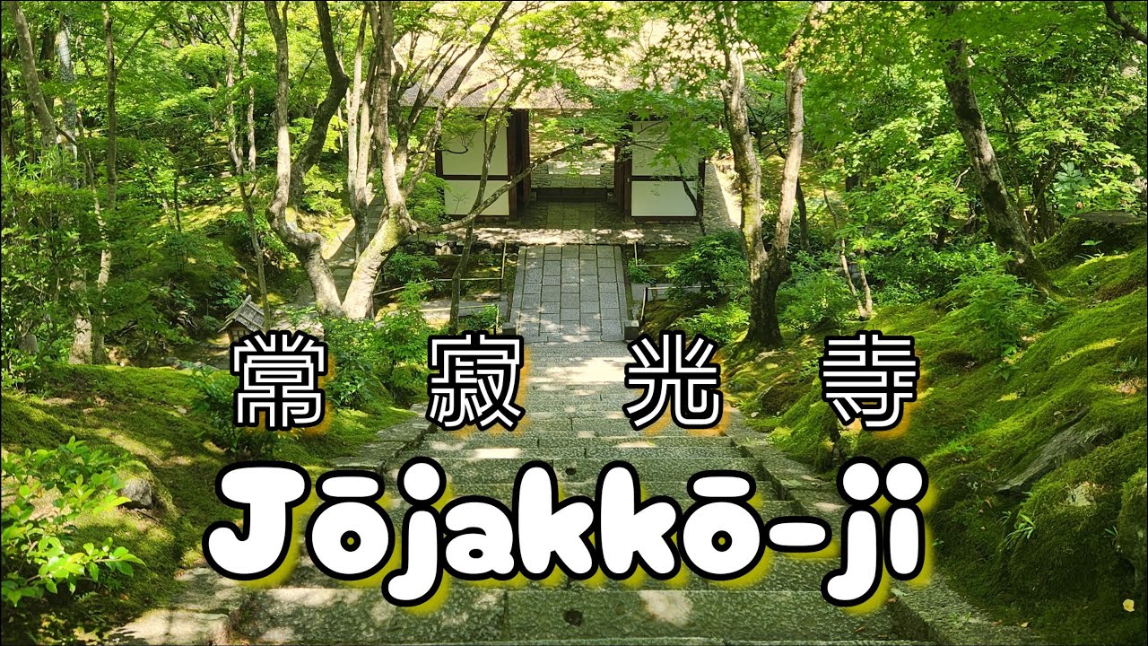 Jojakkoji Temple: Kyoto's Artistic and Spiritual Treasure