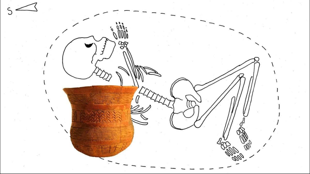 Lid&eacute; kultury zvoncovit&yacute;ch poh&aacute;rů