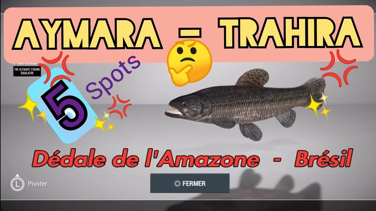 5 SPOTS D`AYMARA UNIQUE TRAHIRA - AMAZONE BRESIL fishing planet