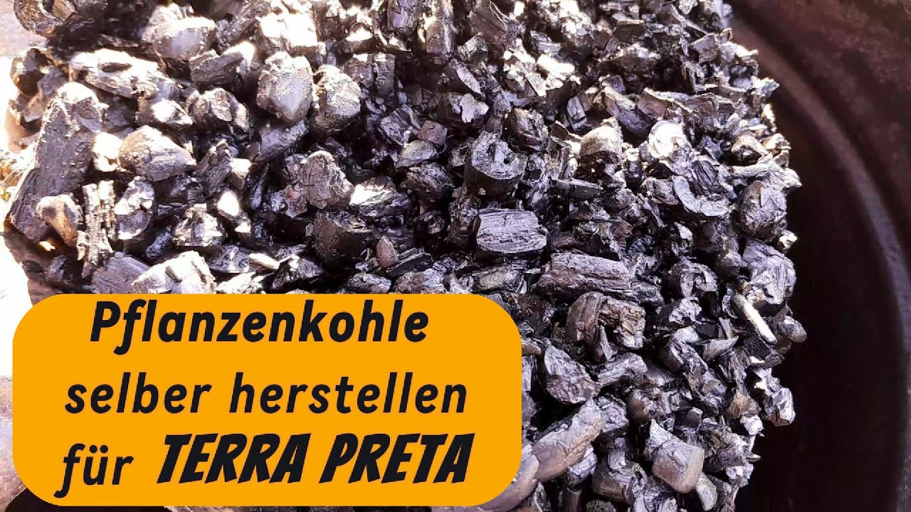 Pflanzenkohle für Terra Preta selber machen.