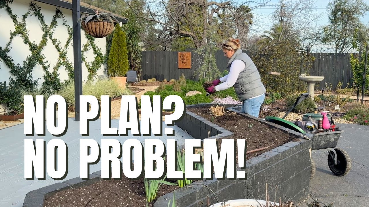 A No-Plan Garden Day: I’m Ignoring My To-Do List today!