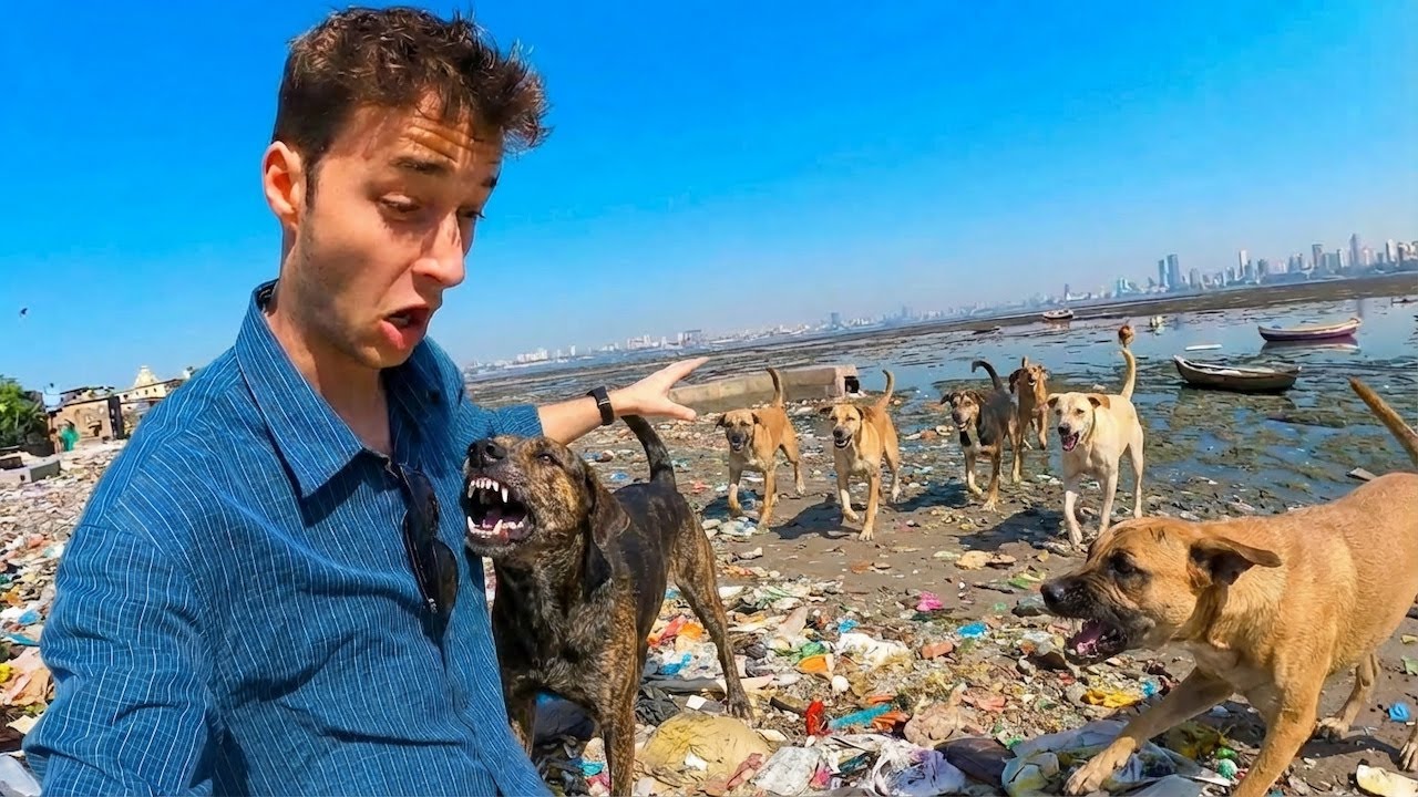 I Was Attacked by a Gang of Dogs in India 🇮🇳