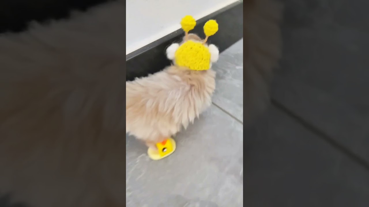 Feeling extra quacky in my bunny-chic look 🐰🦆✨