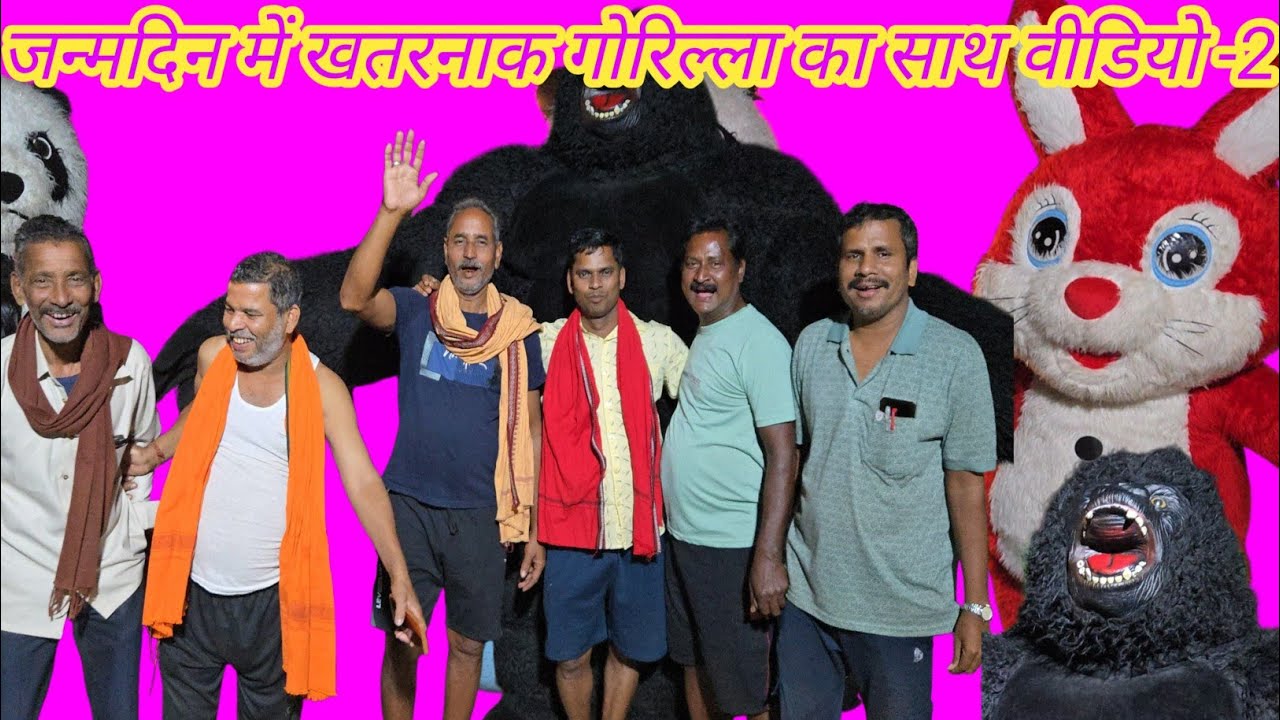 खतरनाक गोरिल्ला साथ पांडा, रैबिट आज जन्मदिन सेलिवेशन करहे 