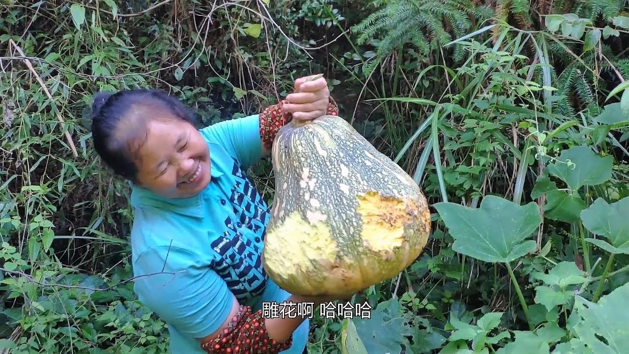 【鑫哥】摘南瓜