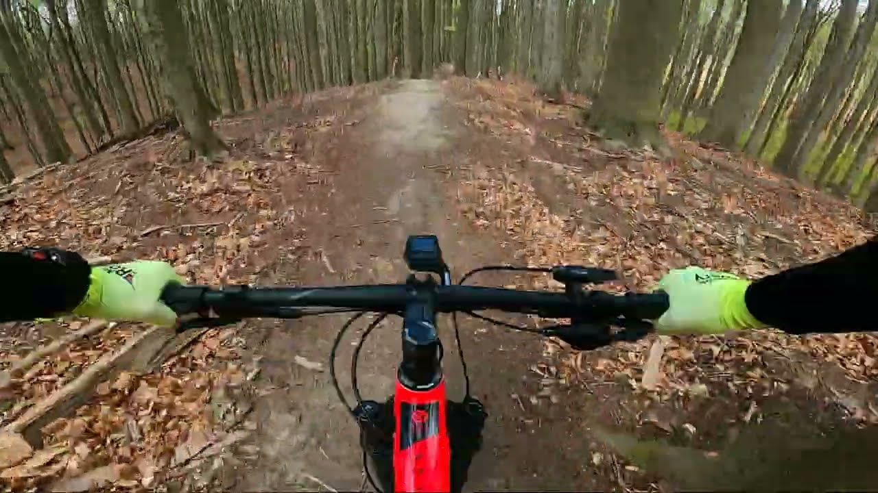Puszcza Bukowa (Szczecin) - Kellys Gate 50 pierwsza jazda