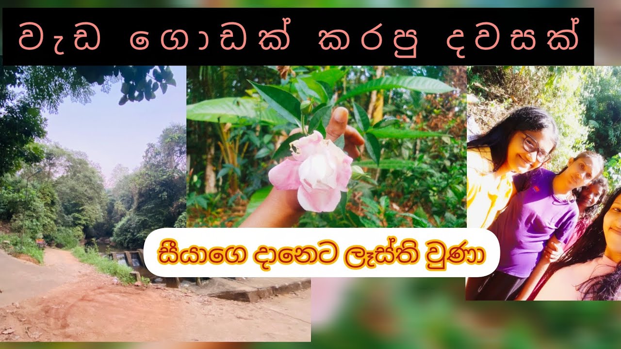 සීයාගෙ දානෙට ලෑස්ති වුණු හැටි 🥺❤️❤️