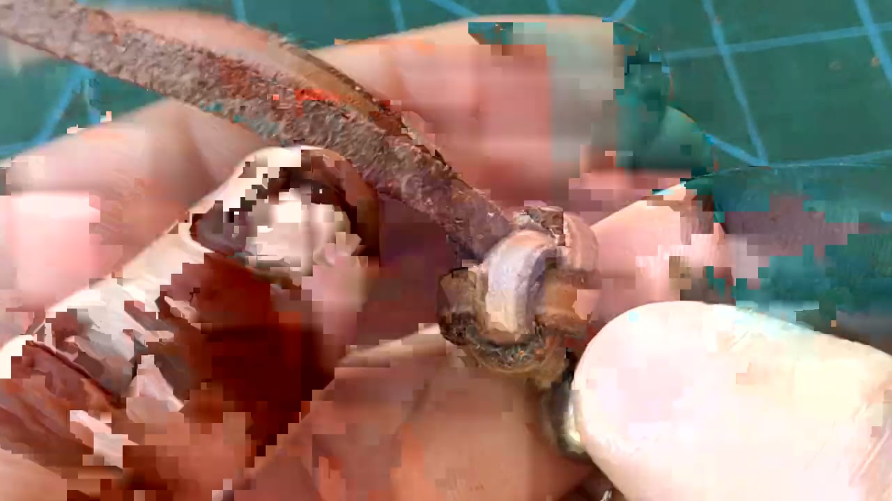 Botão com 2 tentos .