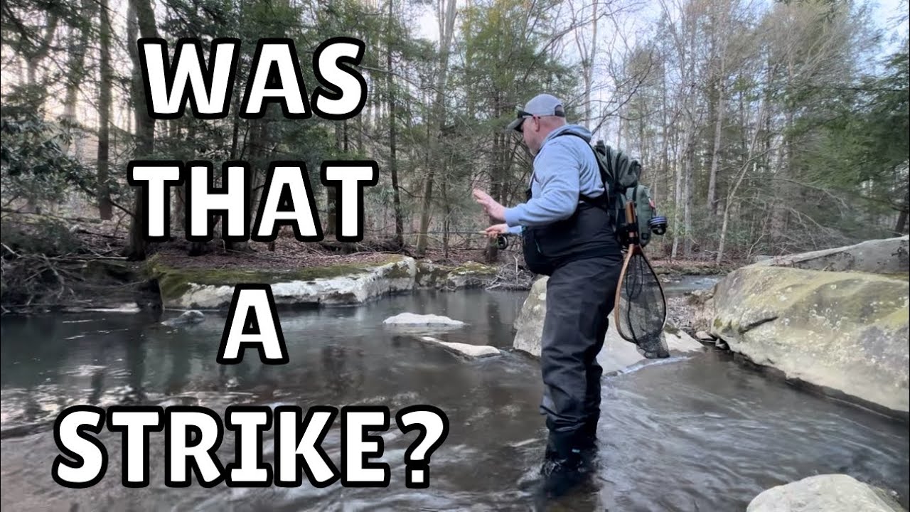 How to Detect Strikes While Fly Fishing Nymphs