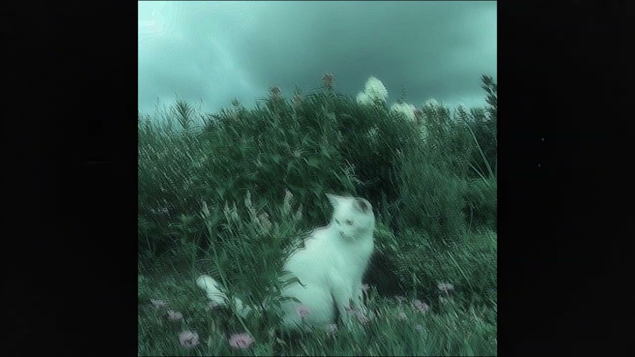 (free) alternative rock + heavy shoegaze type beat ~ 