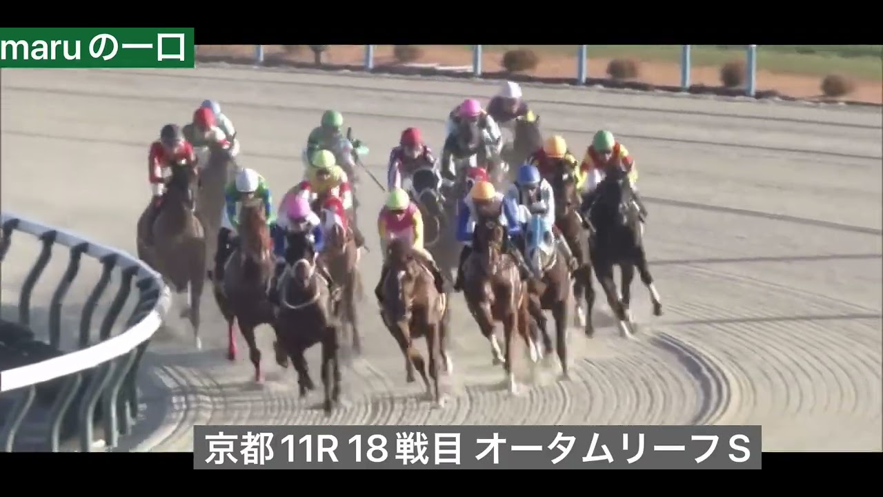 ビダーヤ 18戦目 オータムリーフSダート 1400m京都競馬場11R 15:15