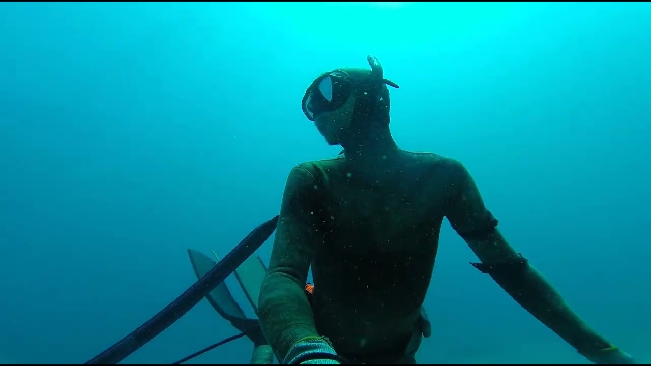 Freedive cape vidal 2023