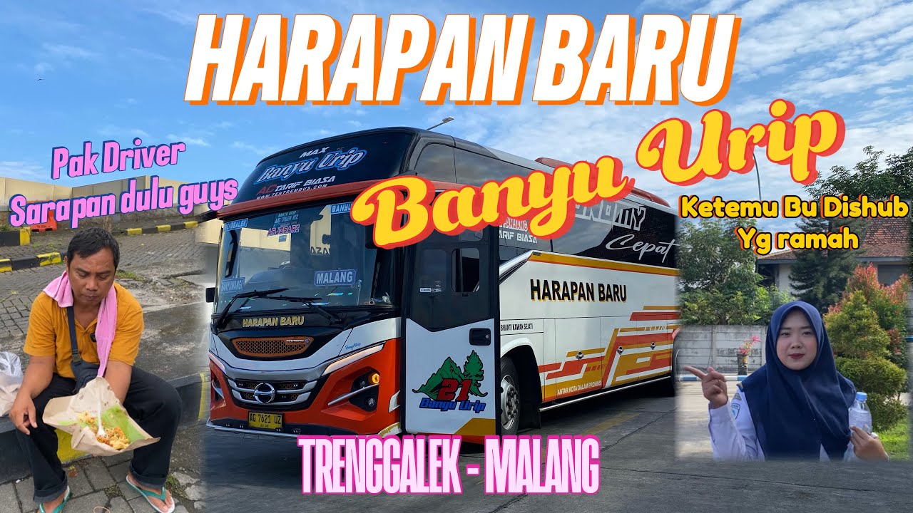 Cuma 50K MOSAK MASIK🔥🔥❗️Harapan Baru “Banyu Urip” Trenggalek - Banyuwangi jam pertama🔥🔥 #busmania 