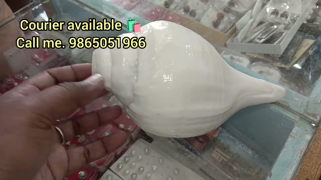 Vishnu Shankh original bajane wala Shankh bhujaShankh vamavartiShankh original valampuri Shankh