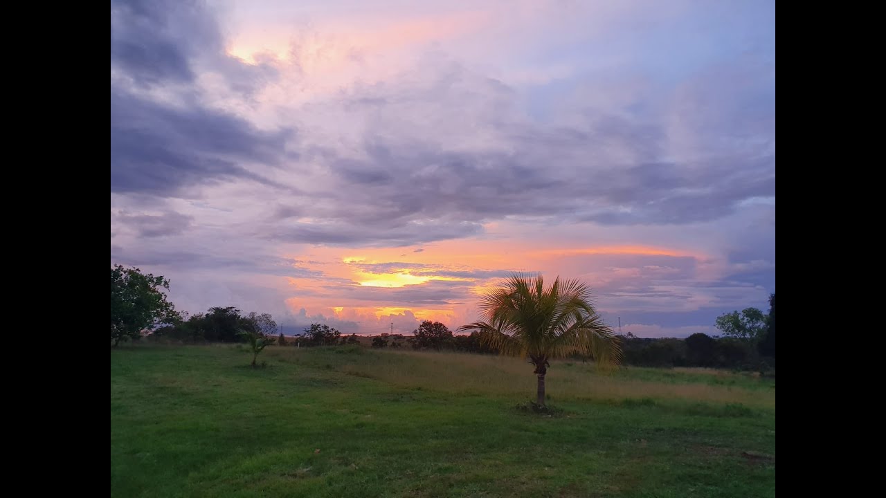 Finca Productiva 576 Hec en Puerto López, Meta