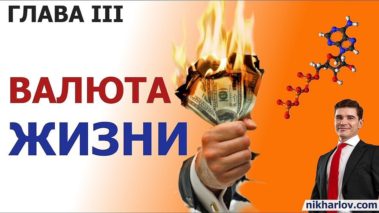 Биоэнергетика живой материи. Что такое АТФ АденозинТрифосфорная кислота универсальная валюта жизни.