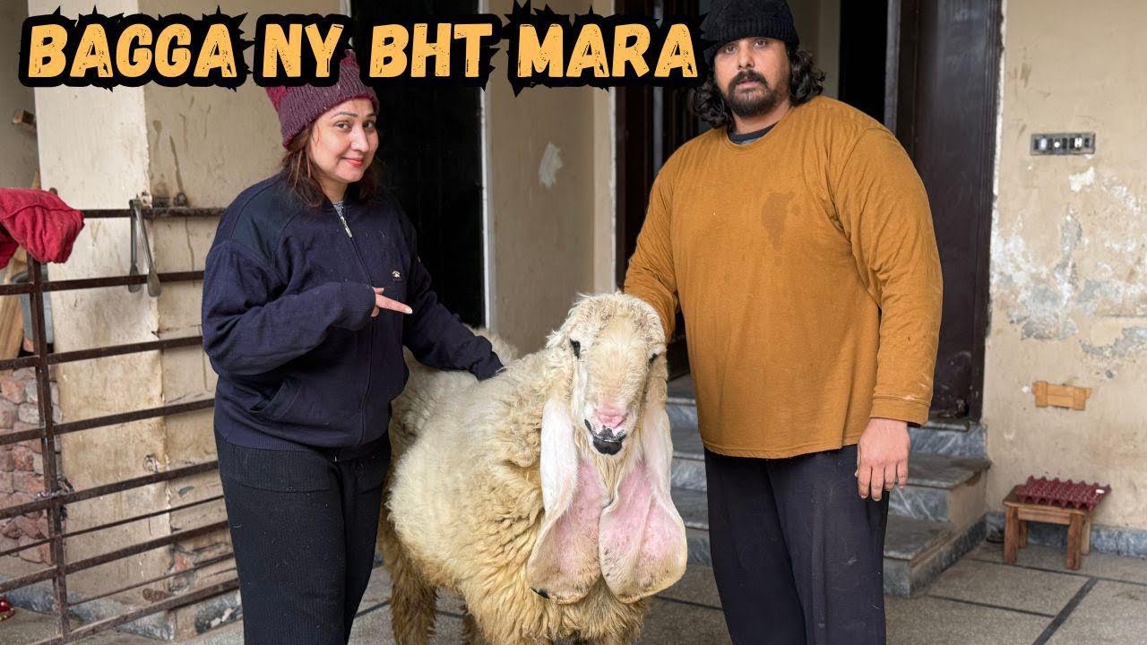 Bagga ny bht Mara | me bagga k pinjary me pas gai ​@NehaMughal7 